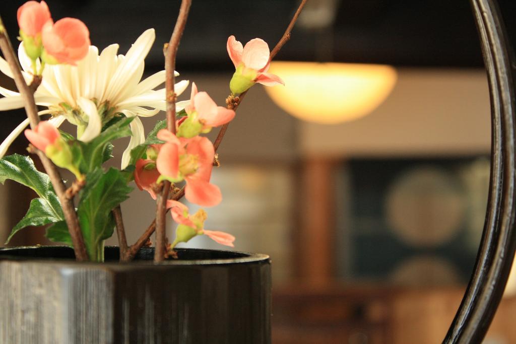 Yamadaya Ryokan Hitachiota Exterior foto